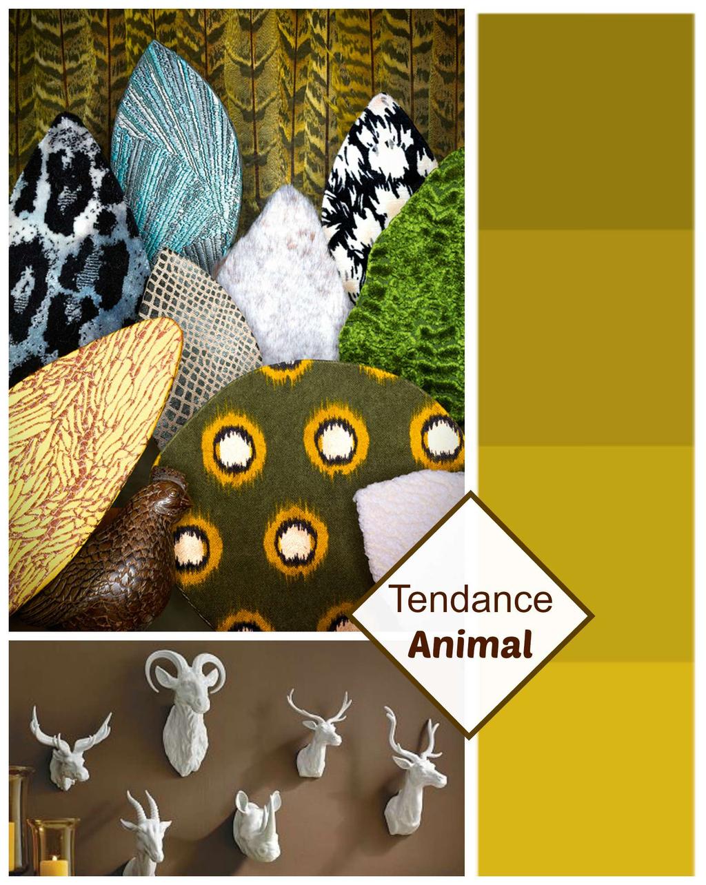 Tendance Vitrine 2015 Animal - XL Soft - solution de caisse magasin