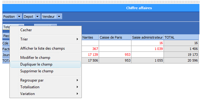 XL Report - Dupliquer un champ