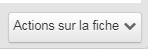 Actions sur la fiche