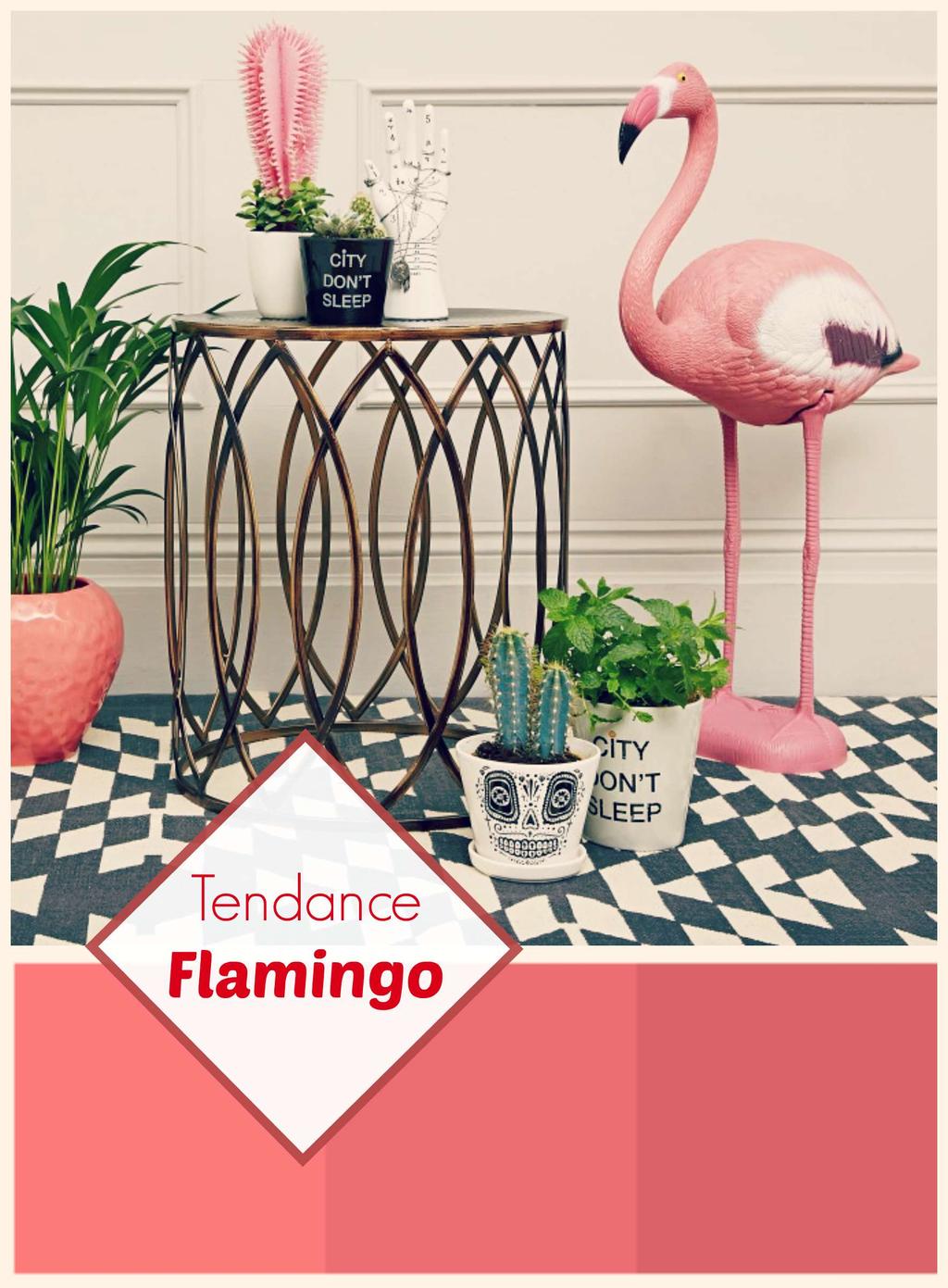 Tendance Vitrine 2015 Flamingo - XL Soft - solution de caisse magasin