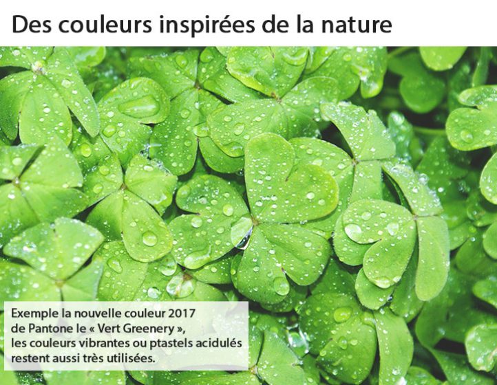 Des couleurs inspirées de la nature